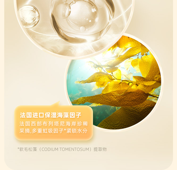 海龟爸爸萌趣保湿儿童面膜