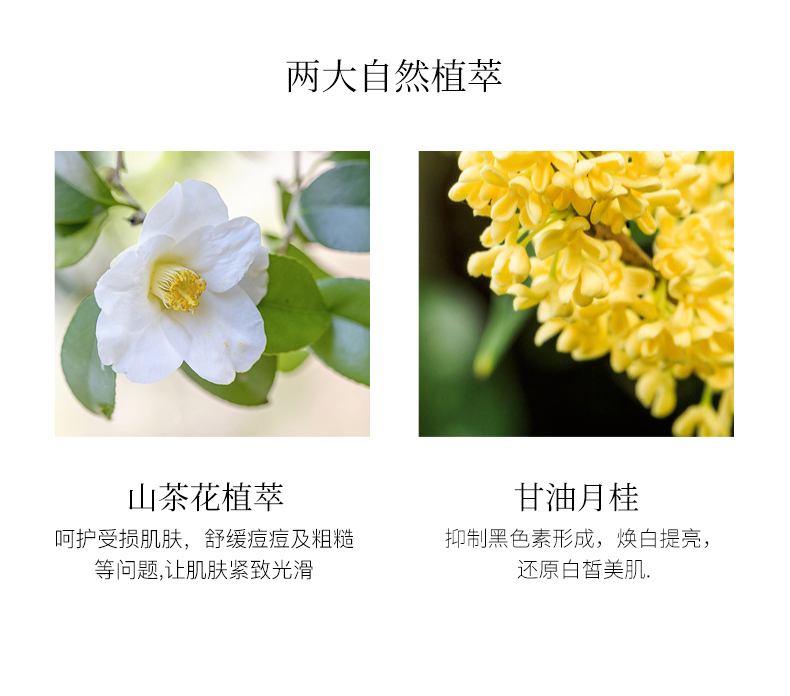 KDK山茶花氨基酸洁面乳 深层清洁控油洗面奶