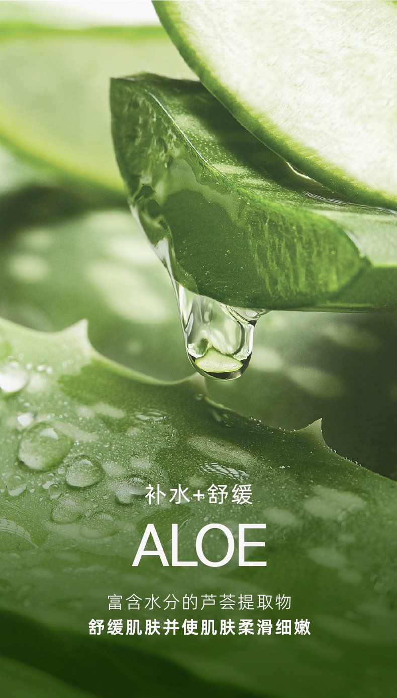 纳益其尔精取自然芦荟面膜贴 自然乐园精取自然芦荟面膜