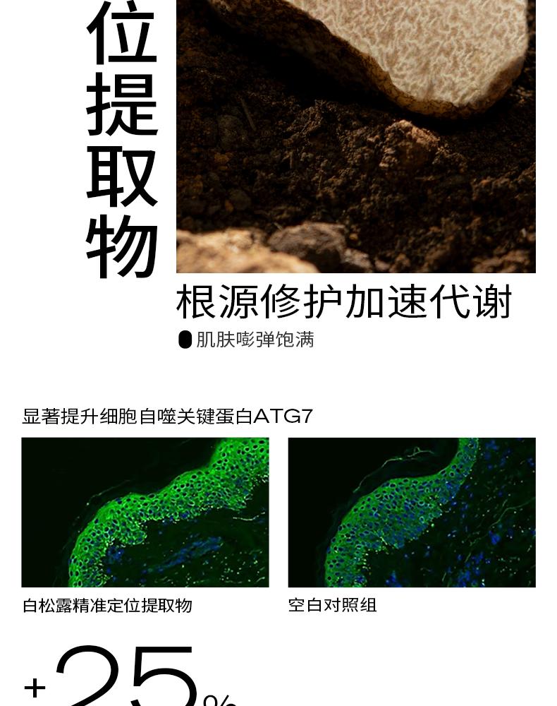 PMPM白松露胶原酵母多效焕能油液精华液 白松露酵母光采紧致修护精华油