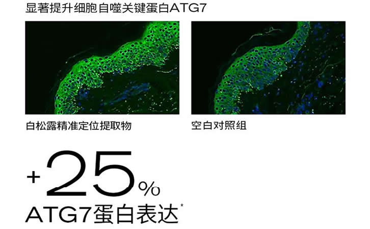 PMPM白松露胶原酵母多效焕能油液精华液 白松露酵母光采紧致修护精华油