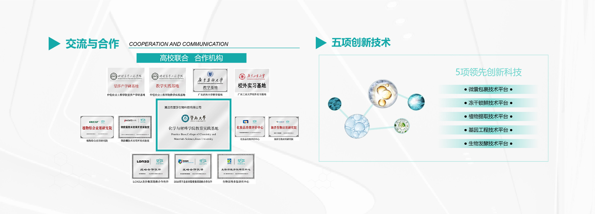 清远市望莎生物科技有限公司【生产代加工厂家】