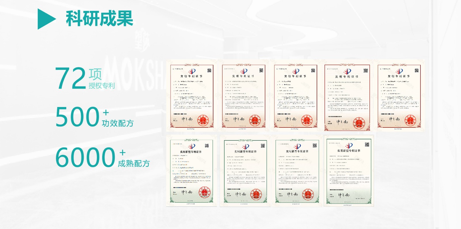 清远市望莎生物科技有限公司【生产代加工厂家】