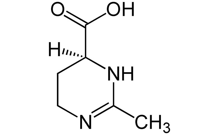 依克多因,要在美妆界“翻红”了? 依克多因,要在美妆界“翻红”了?