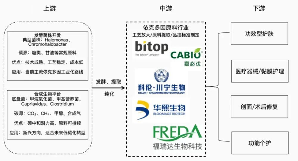 依克多因,要在美妆界“翻红”了? 依克多因,要在美妆界“翻红”了?